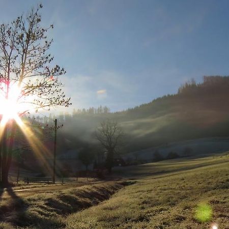 Ferienwohnung Dobelblick Buchenbach  Oda fotoğraf