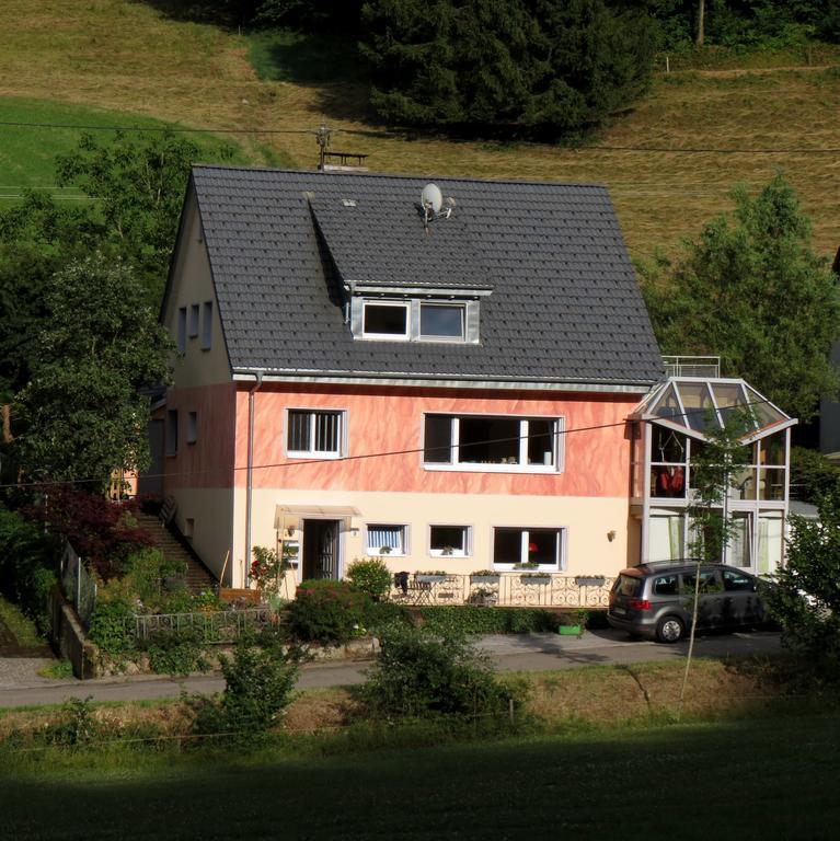 Ferienwohnung Dobelblick Buchenbach  Oda fotoğraf