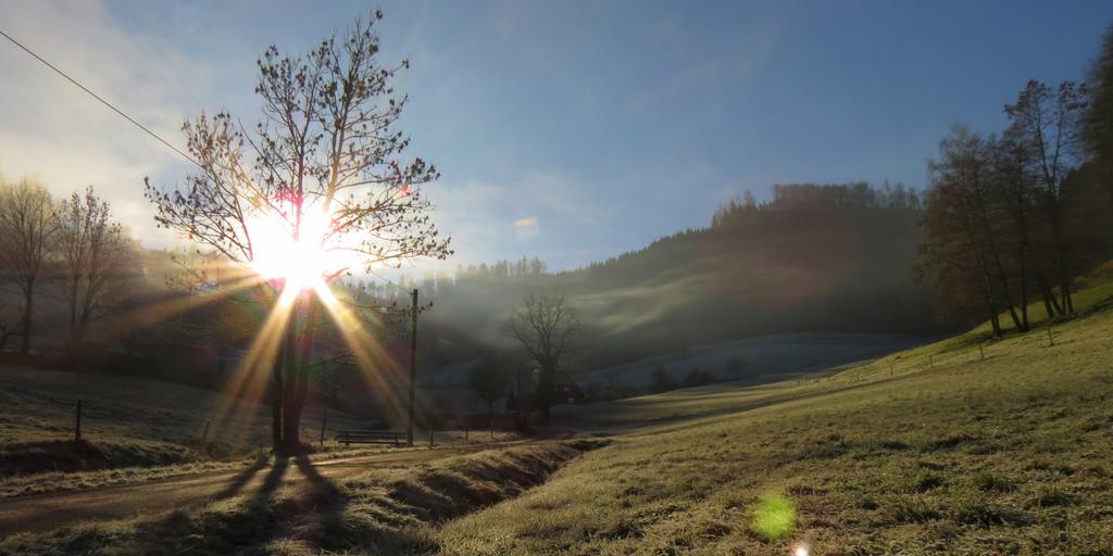 Ferienwohnung Dobelblick Buchenbach  Oda fotoğraf