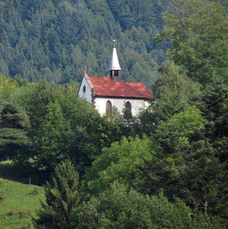 Ferienwohnung Dobelblick Buchenbach  Oda fotoğraf